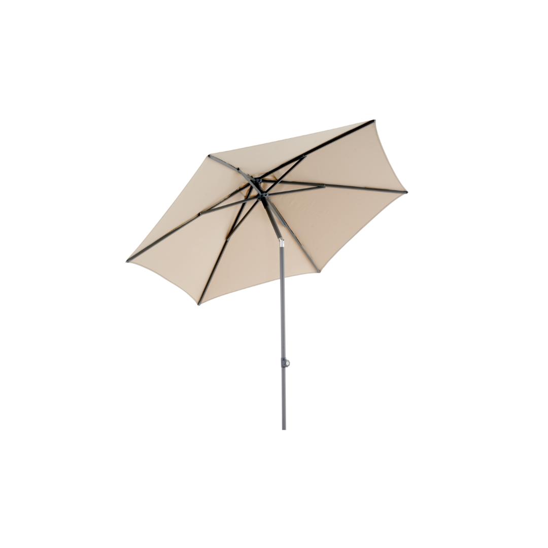 8894-73-21_Poppi_250_2 (1)