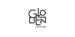 Globe lightning logo
